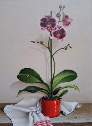 B. Molnár Annamária